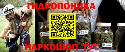 каннабис Гусев