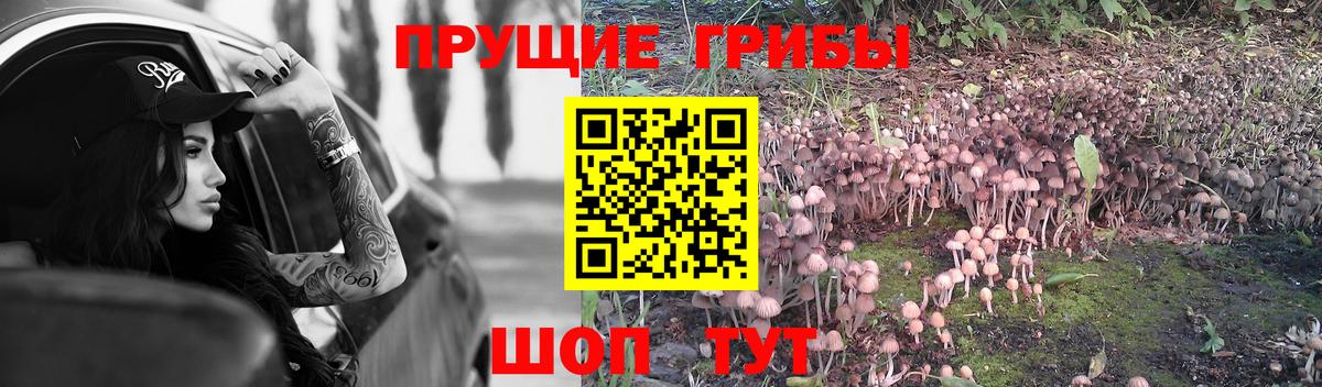 Дальнереченск  Галлюциногенные грибы Magic Shrooms  Вход с VPN 